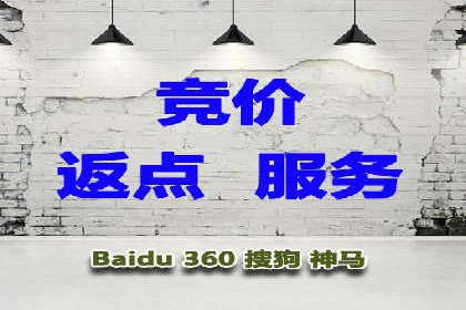 SEO与SEM案例分析：提升网站排名策略